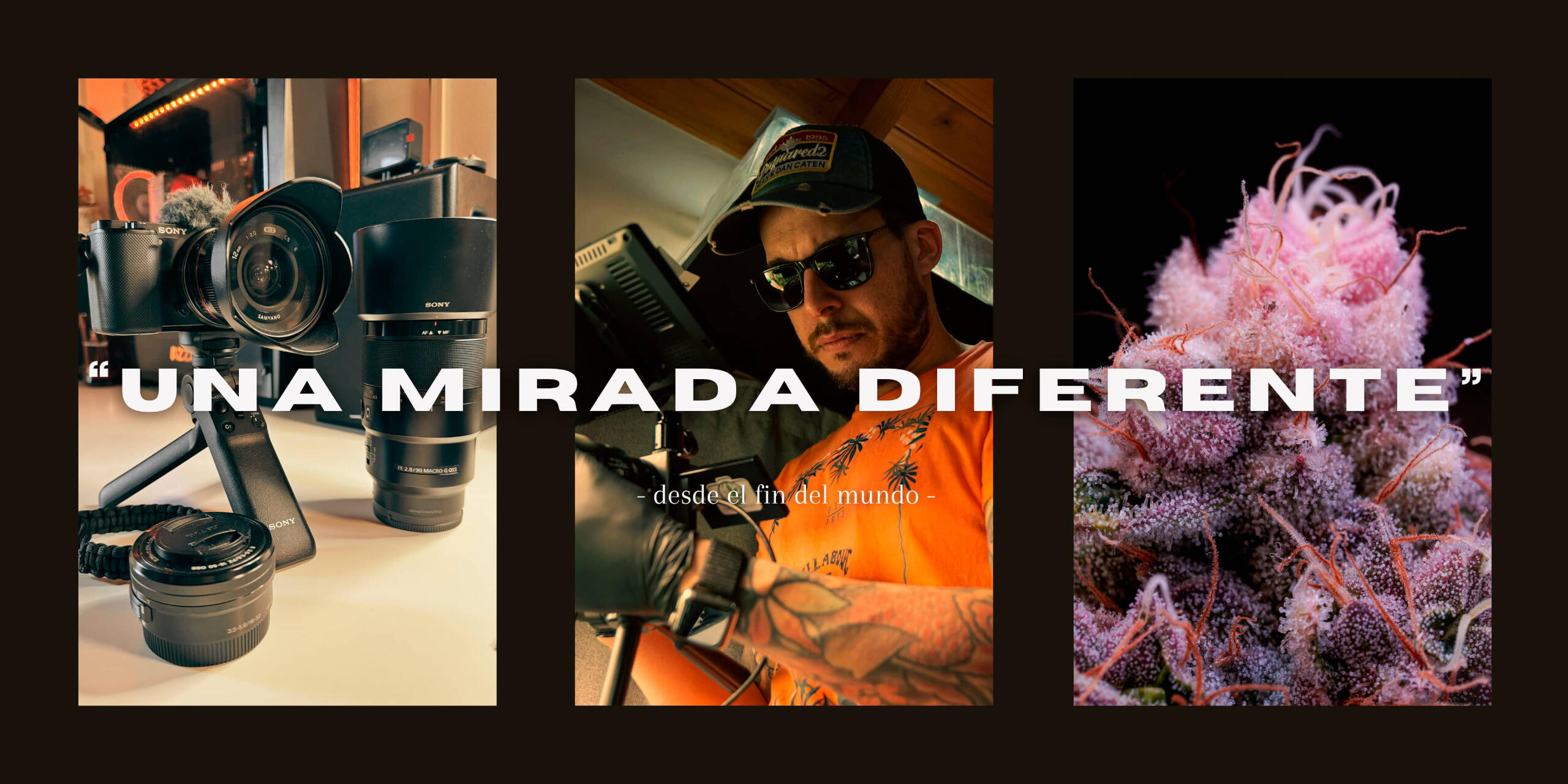 Hashkiekush | Una mirada diferente Fotografía macro, cannabis medicinal, naturaleza y vida en el fin del mundo.